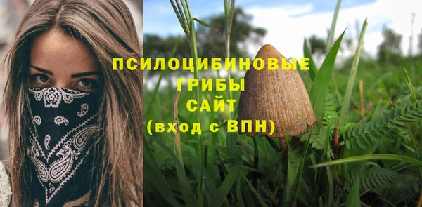 гашик Балахна