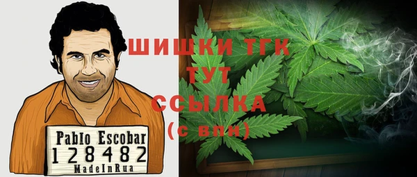 гашик Балахна